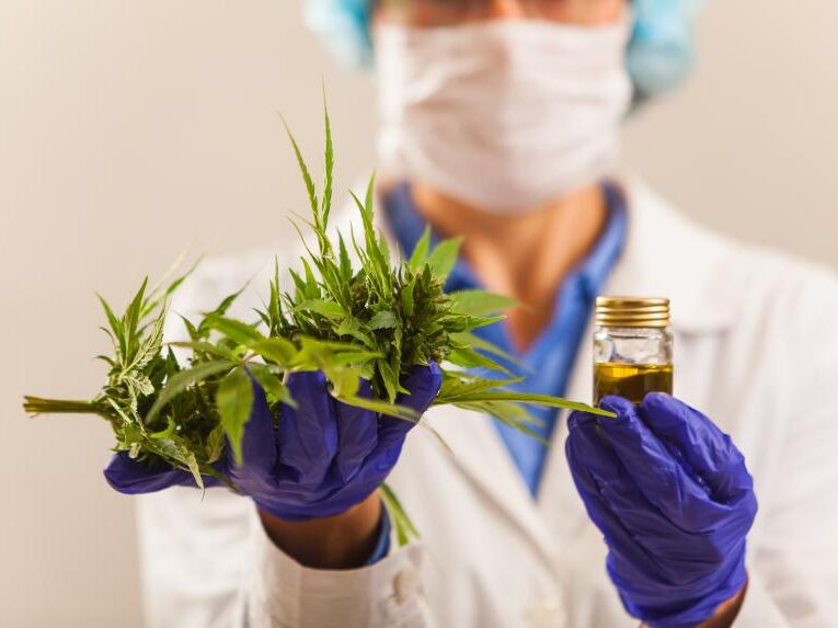 Cannabis Medicinal: se impulsó el debate en la Legislatura bonaerense