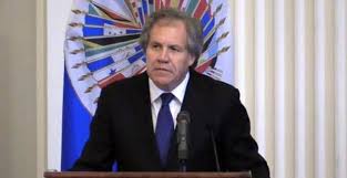 La OEA pidió liberar a Milagro Sala