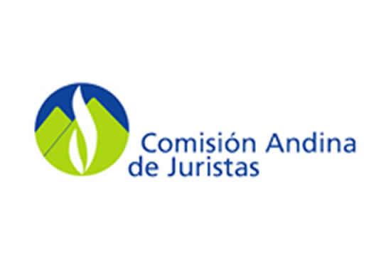 Curso virtual sobre gestión pública y sistema interamericano de DD.HH.