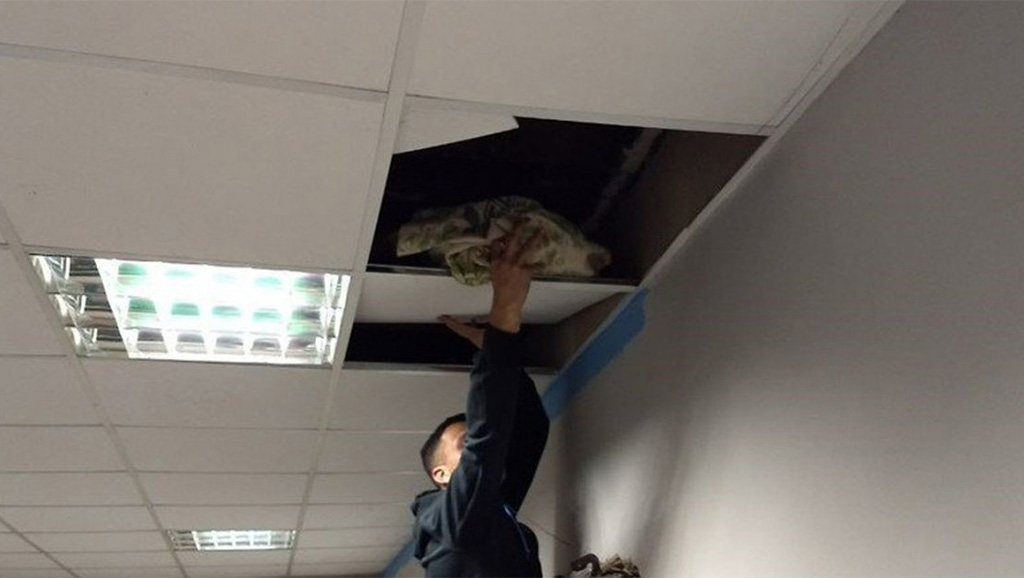 Lanús y Avellaneda: la Policía tenía marihuana, cocaína y paco escondidos