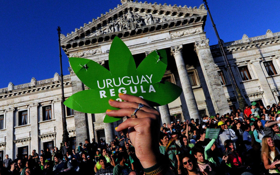 Adelanto exclusivo del libro "Drogas y Derecho Penal en el Uruguay"
