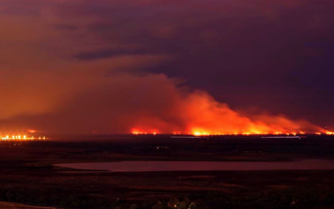 Incendios en el Delta: el fiscal trabaja "contra reloj" y avanza para encontrar a los culpables