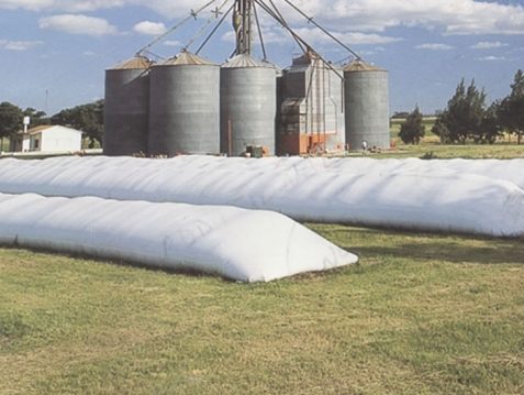 Juicio oral a una organización acusada de evadir impuestos en la venta de cereales