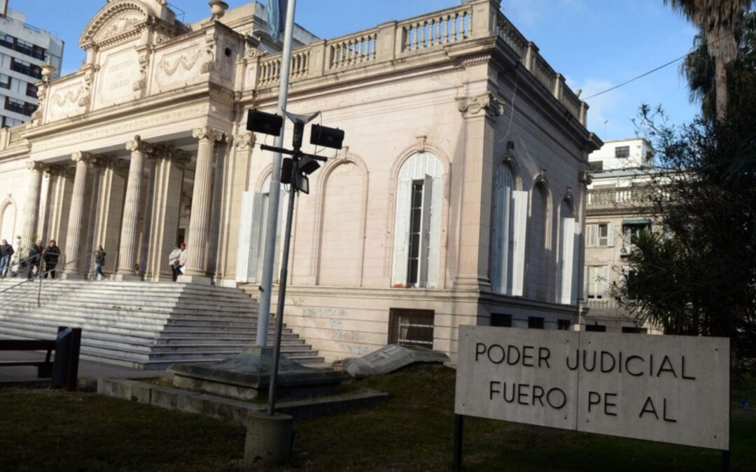 Interpol busca a la abogada que presentaba amparos "truchos" para personas con discapacidad