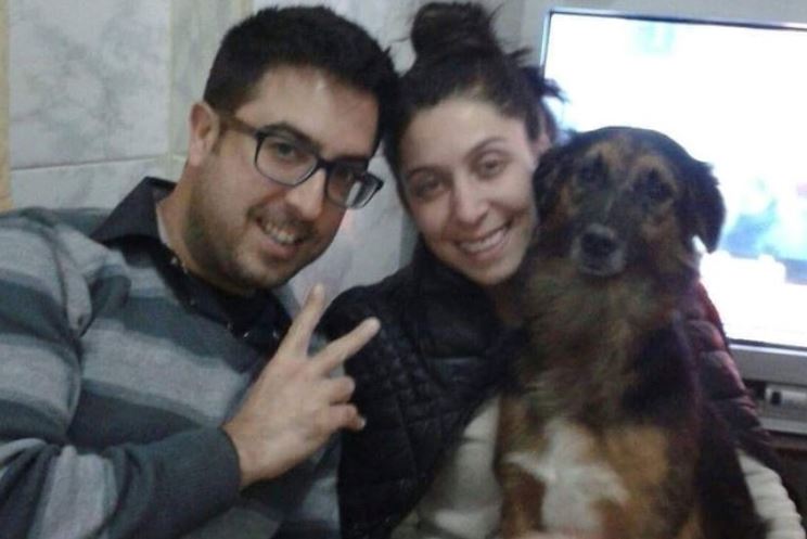 Fallo indignante | Iberia perdió la perra de una argentina y la Justicia europea consideró que los animales valen lo mismo que una valija