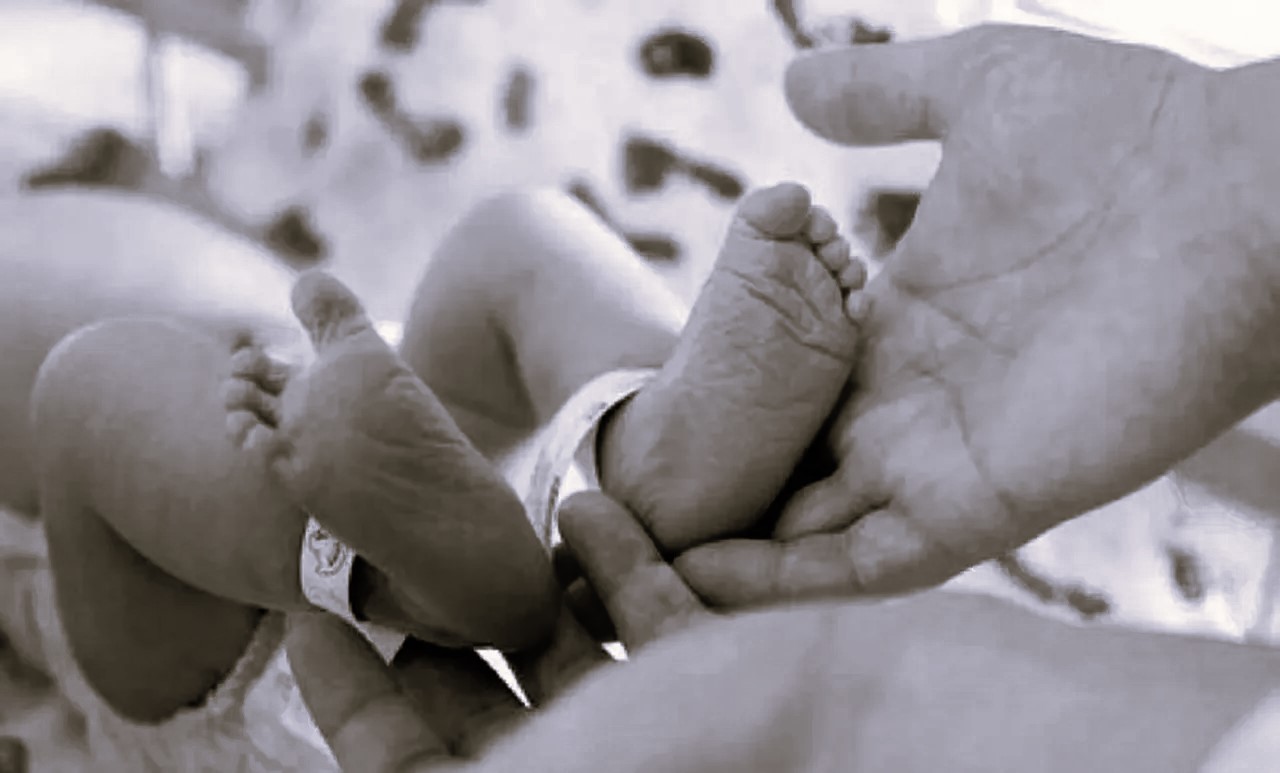 El derecho a no ser (y a elegir ser): la caída de la natalidad bajo la lupa del nuevo derecho de las familias