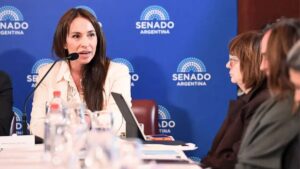 Idoneidad o prejuicio: lo que el caso Michelli revela sobre nuestra cultura constitucional