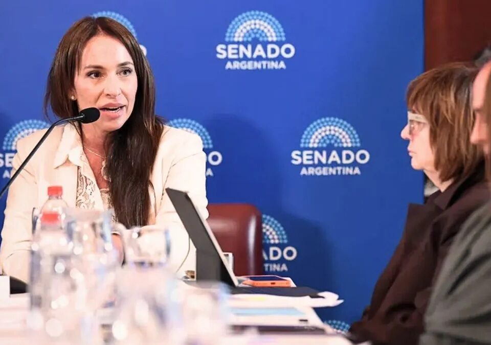 Idoneidad o prejuicio: lo que el caso Michelli revela sobre nuestra cultura constitucional