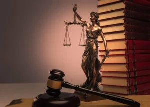 Justicia situada y perspectiva de discapacidad: "Hacia un proceso penal humano y convencional"